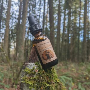 Sea Witch Botanicals - Lucidum™ Reishi Facial Serum