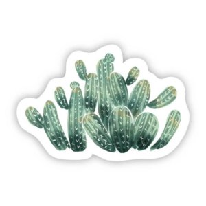 Big Moods - Cactus Sticker