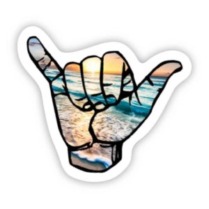Big Moods - Hang Loose