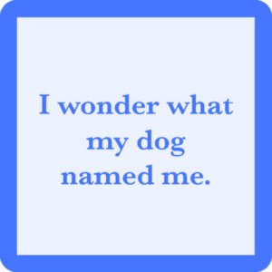 Drinks on Me coasters - Dog Named Me