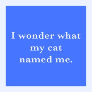 Drinks on Me coasters - Cat Named Me