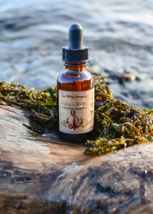 Sea Witch Botanicals - Siren’s Folly Beard Tonic