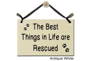 Wish Upon A Sign - Rescued