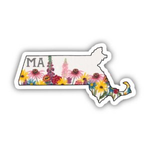 Big Moods - Massachusetts Painterly Pattern Sticker