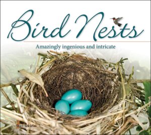 AdventureKEEN - Bird Nests