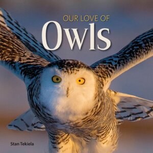 AdventureKEEN - Our Love of Owls