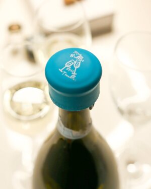 CapaBunga® - CapaBubbles More Bubbles Less Troubles Champagne Stopper